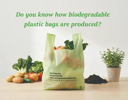 Biodegradable shopping bag filled with fresh vegetables and fruits